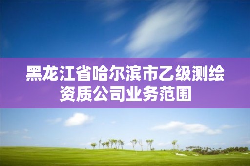 黑龍江省哈爾濱市乙級測繪資質(zhì)公司業(yè)務(wù)范圍