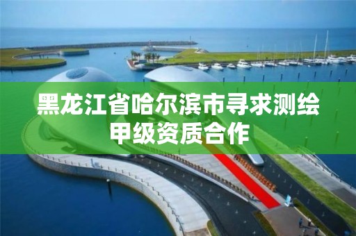 黑龍江省哈爾濱市尋求測繪甲級資質合作