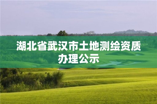 湖北省武漢市土地測繪資質(zhì)辦理公示