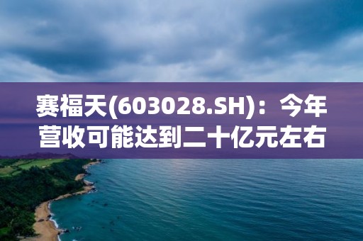 賽福天(603028.SH)：今年?duì)I收可能達(dá)到二十億元左右