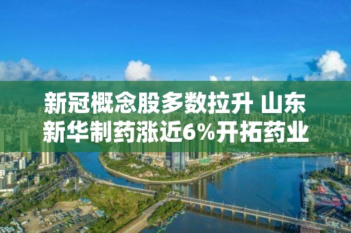 新冠概念股多數(shù)拉升 山東新華制藥漲近6%開拓藥業(yè)-B漲超4%