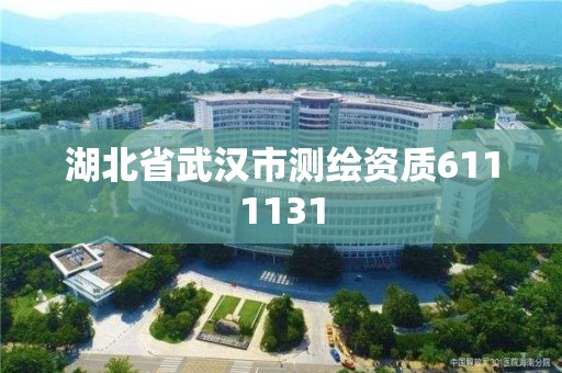 湖北省武漢市測繪資質6111131