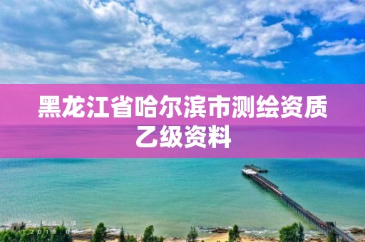 黑龍江省哈爾濱市測繪資質乙級資料