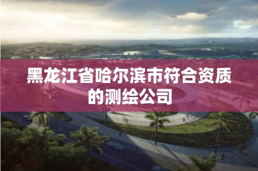 黑龍江省哈爾濱市符合資質的測繪公司