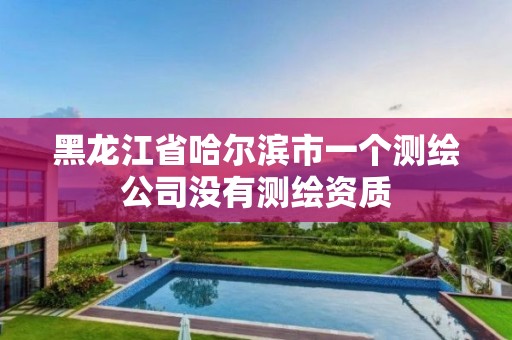 黑龍江省哈爾濱市一個測繪公司沒有測繪資質