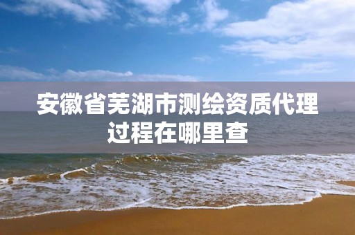 安徽省蕪湖市測繪資質代理過程在哪里查