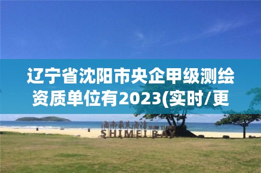 遼寧省沈陽市央企甲級測繪資質單位有2023(實時/更新中)