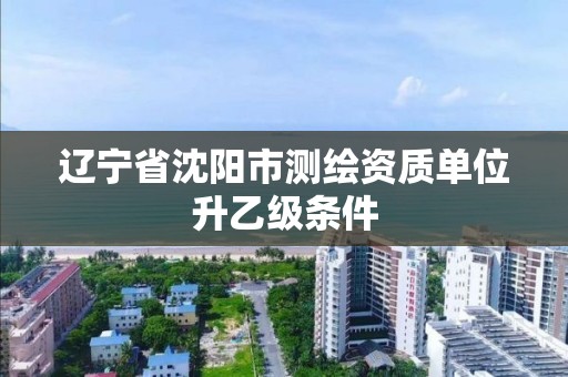 遼寧省沈陽市測繪資質單位升乙級條件