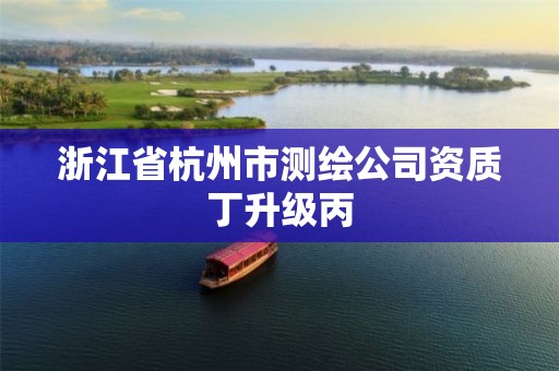 浙江省杭州市測(cè)繪公司資質(zhì)丁升級(jí)丙