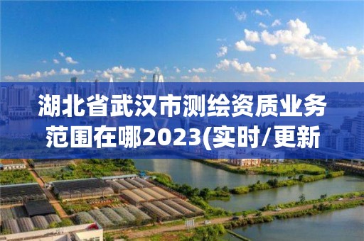 湖北省武漢市測繪資質業務范圍在哪2023(實時/更新中)