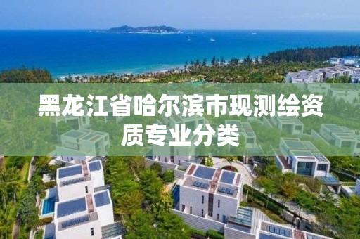 黑龍江省哈爾濱市現測繪資質專業分類