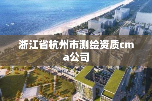 浙江省杭州市測繪資質(zhì)cma公司