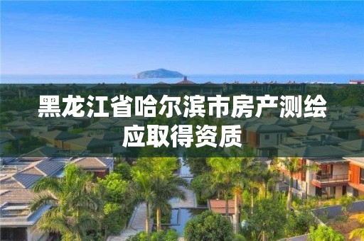 黑龍江省哈爾濱市房產測繪應取得資質