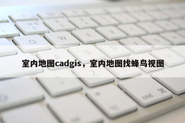 室內地圖cadgis，室內地圖找蜂鳥視圖