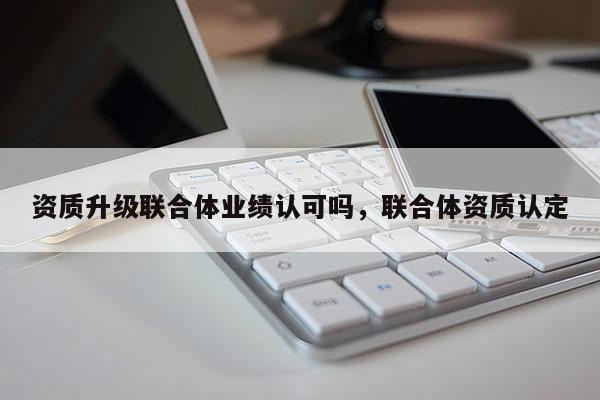 資質升級聯合體業績認可嗎，聯合體資質認定