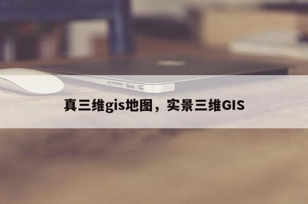 真三維gis地圖，實景三維GIS