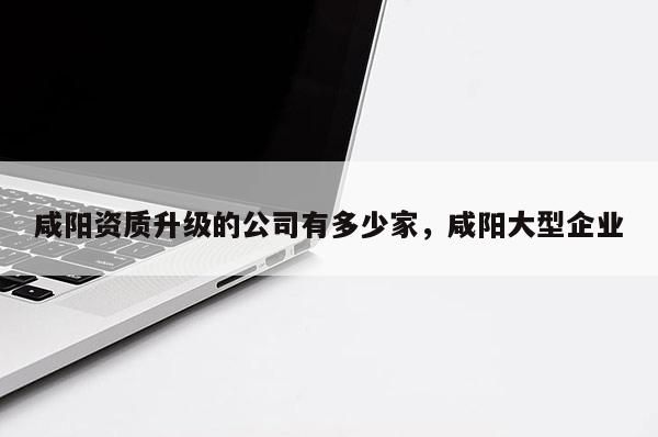 咸陽資質升級的公司有多少家，咸陽大型企業