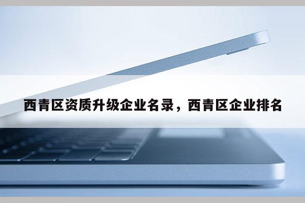 西青區(qū)資質(zhì)升級(jí)企業(yè)名錄，西青區(qū)企業(yè)排名