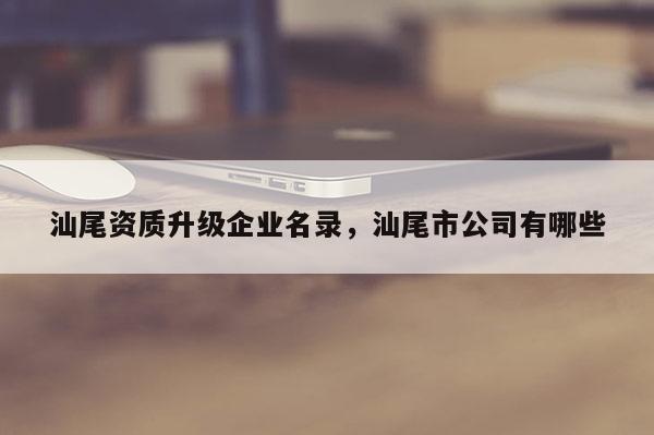 汕尾資質(zhì)升級(jí)企業(yè)名錄，汕尾市公司有哪些