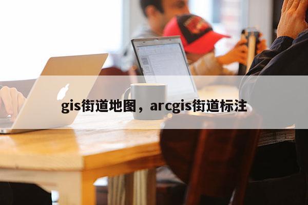 gis街道地圖，arcgis街道標注