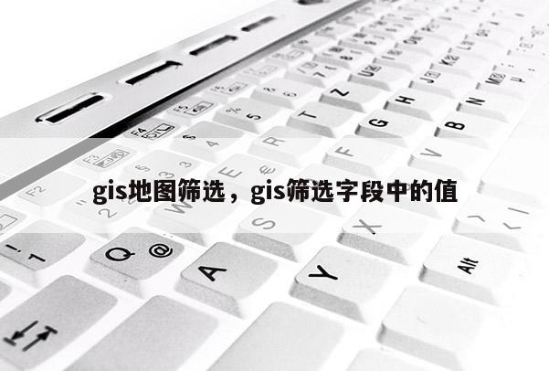 gis地圖篩選，gis篩選字段中的值