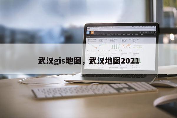 武漢gis地圖，武漢地圖2021